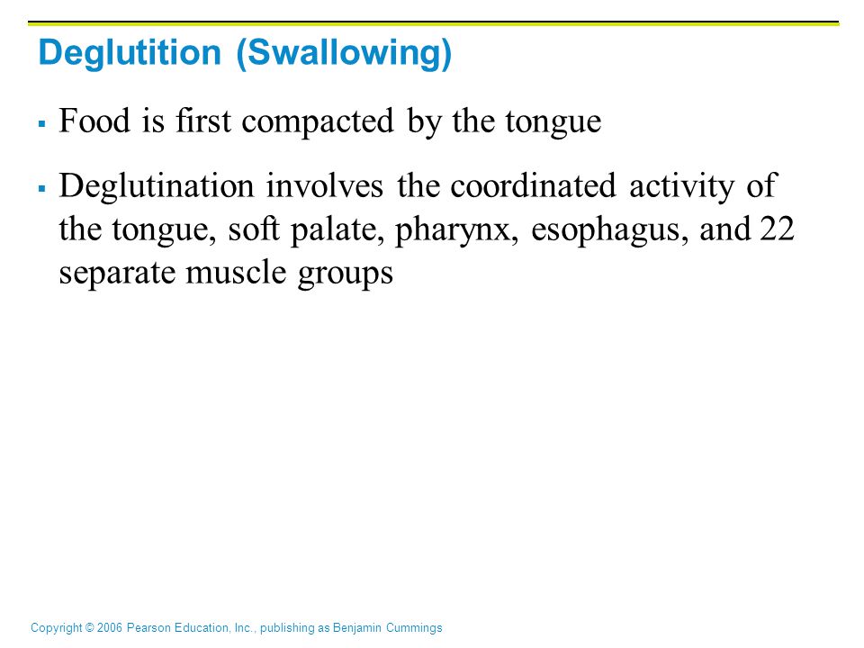 32 Deglutition (Swallowing)