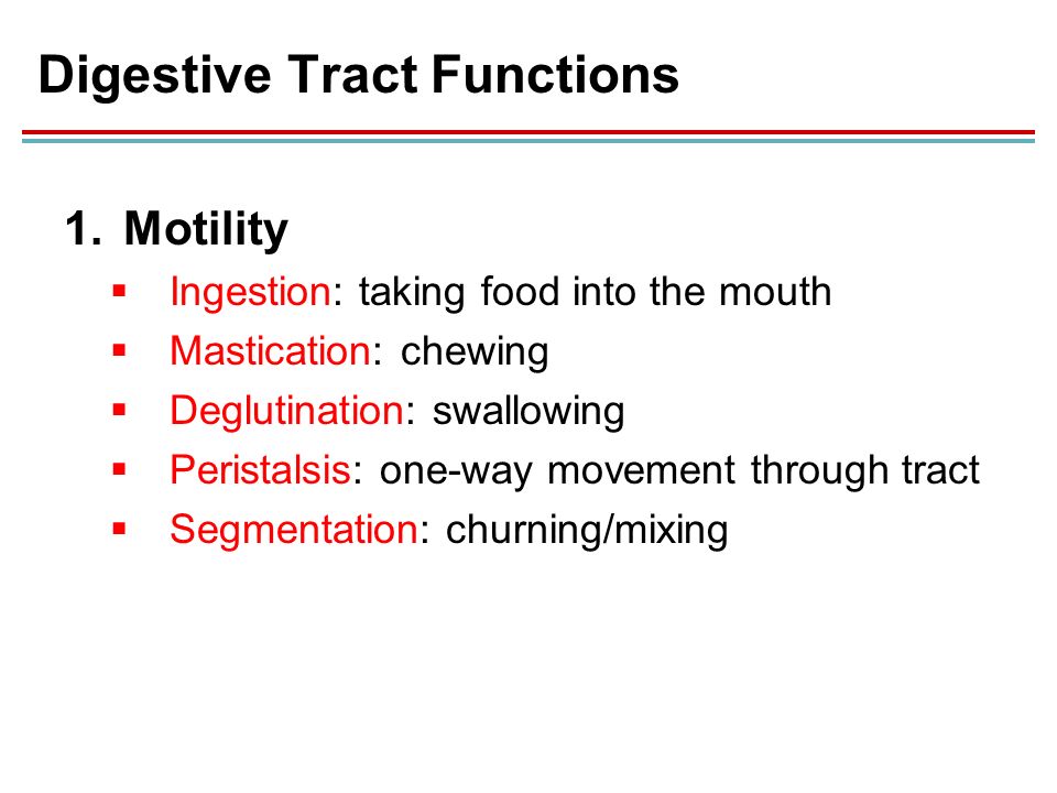 5 Digestive Tract Functions