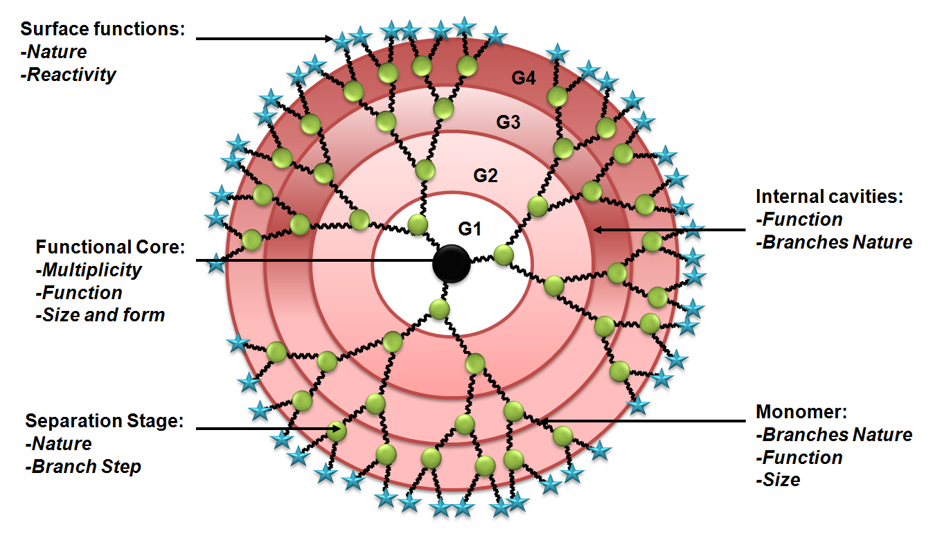 Figure 2: General structure of a dendrimer