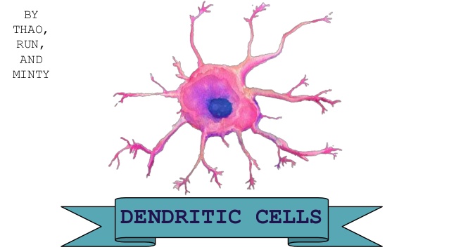 DENDRITIC CELLS BY THAO, RUN,
