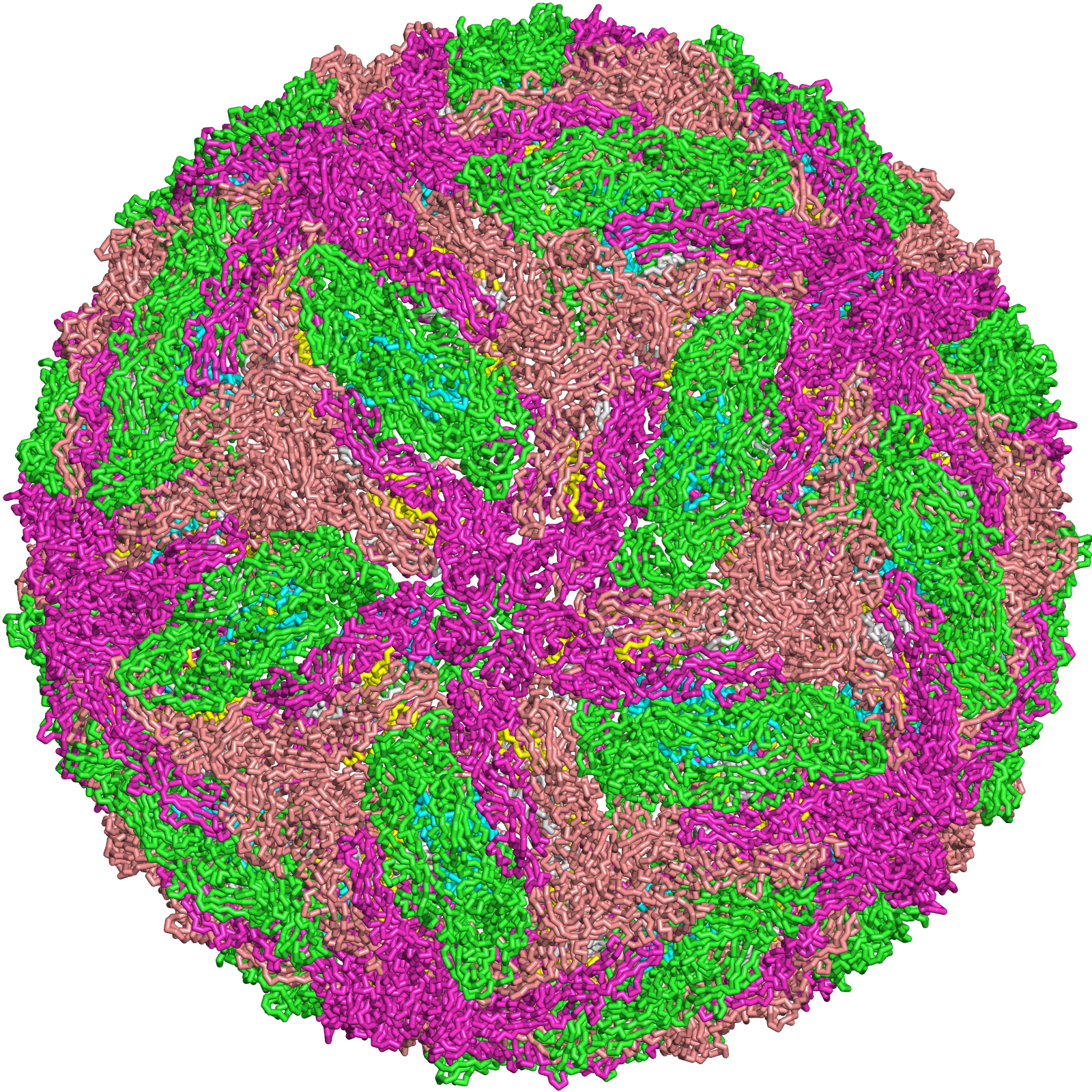 Image depicting Dengue Virus