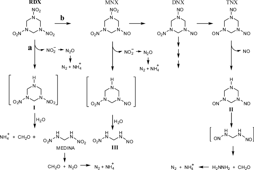 Proposed pathway for degradation of RDX in the presence of ZVINs: (a)  Denitration