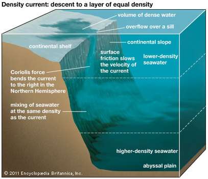 density current: descent to an ocean layer of equal density