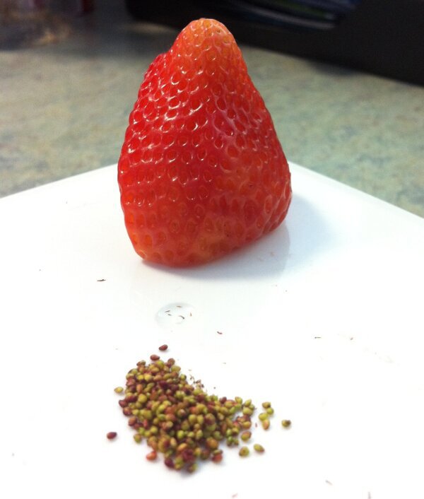 A de-seeded strawberry