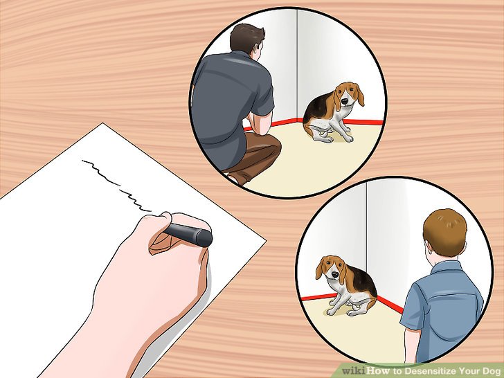 Image titled Desensitize Your Dog Step 2