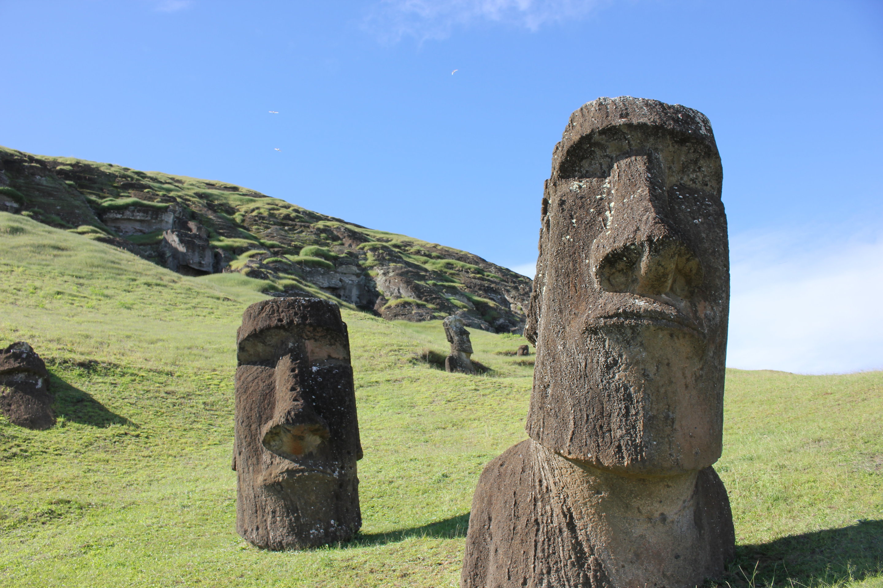 Examples of the Easter Island statues, or moai. Credit: Dale Simpson, Jr.