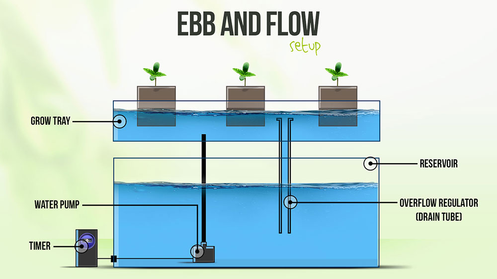 Ebb and flow system