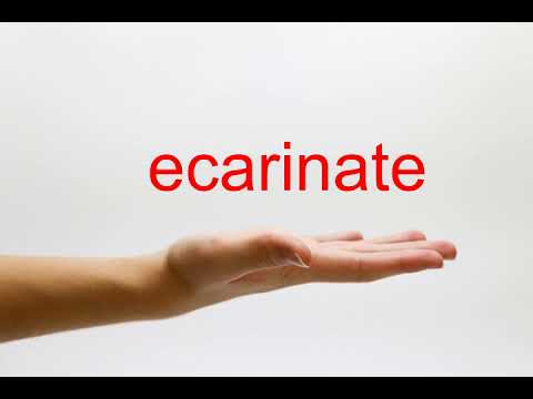 How to Pronounce ecarinate - American English