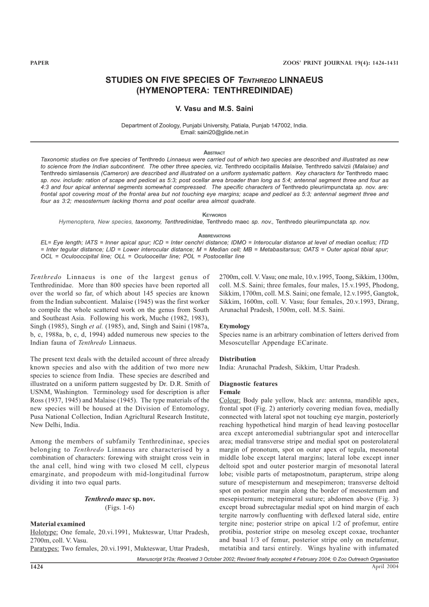 (PDF) Studies on five species of Tenthredo Linnaeus (Hymenoptera:  Tenthredinidae)