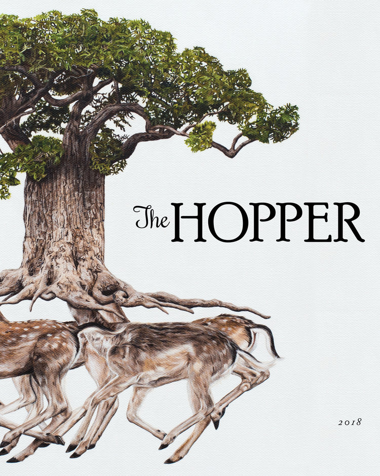 Cover of The Hopper