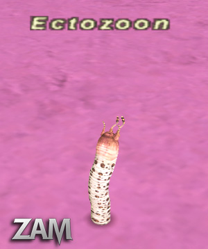 Ectozoon Picture