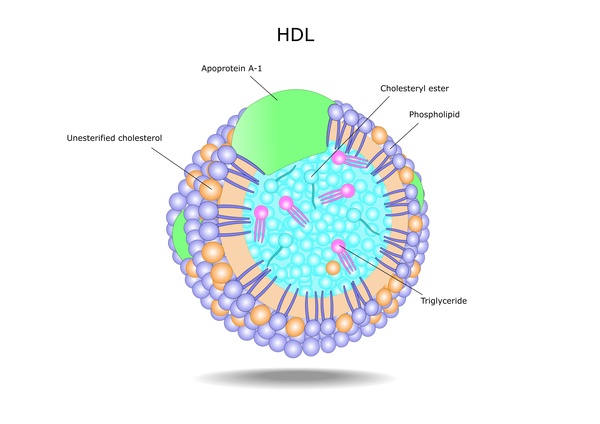 Familial HDL deficiency is a condition characterized by low levels of high-density  lipoprotein (HDL)