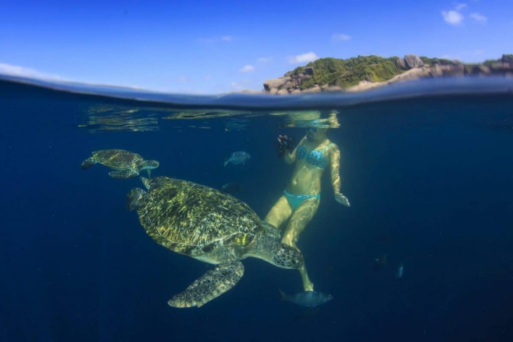 Best Snorkeling Spots in the Galápagos Islands