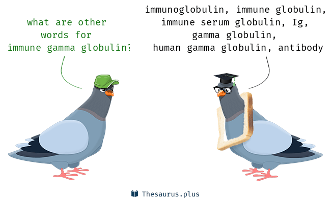 Synonyms for immune gamma globulin