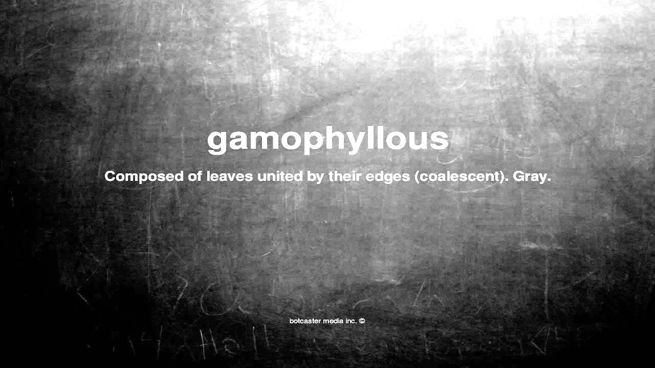 What does gamophyllous mean