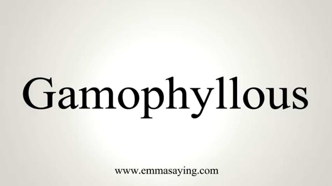 How to Pronounce Gamophyllous