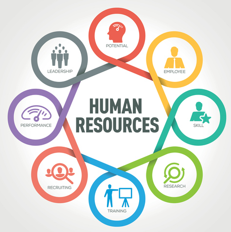 Human Resources circle of steps