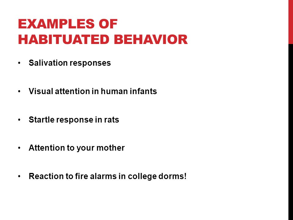 Examples of habituated behavior