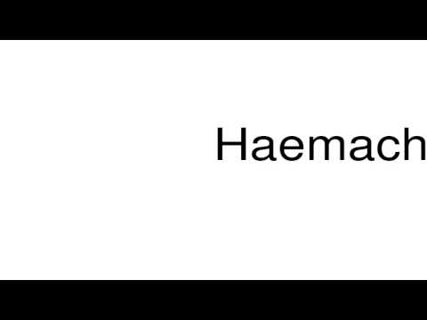 How to pronounce Haemachrome