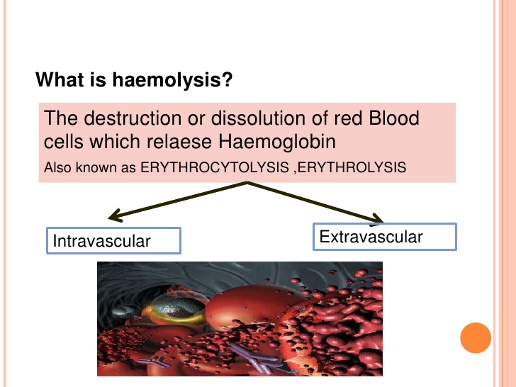 3. What is haemolysis?