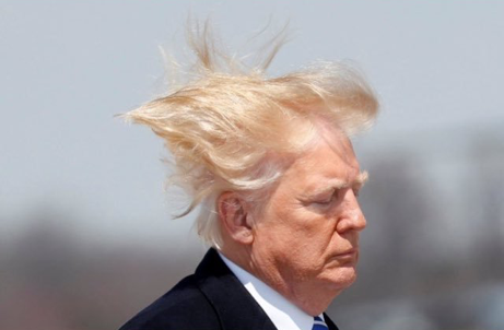 Trump Hair raising 1