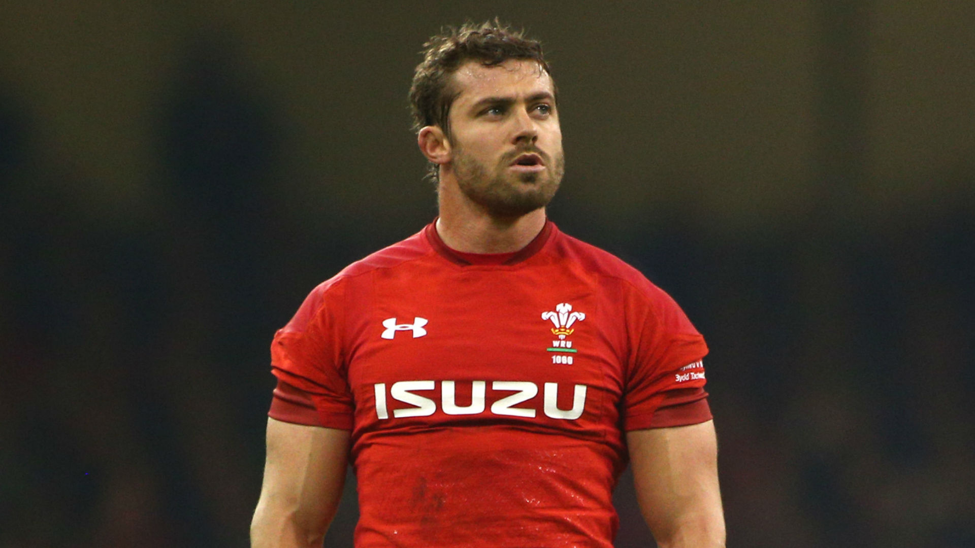Halfpenny to see specialist as concussion symptoms persist