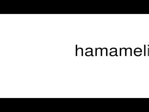 How to pronounce hamamelidaceous