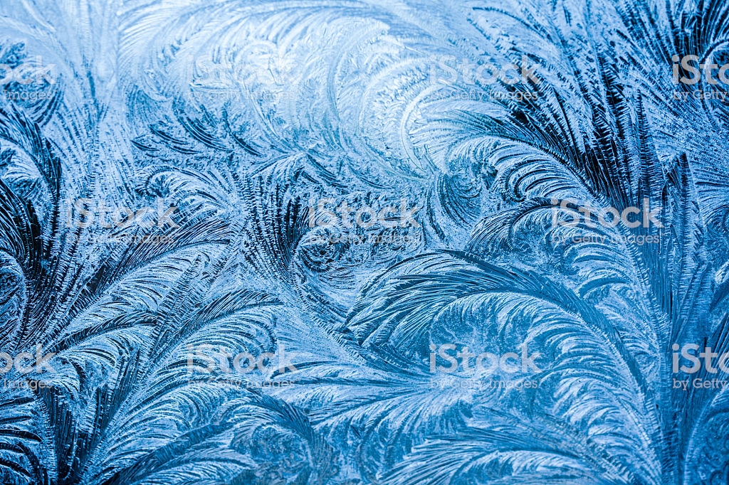 Ice Feathers Pictures, Images and Stock Photos