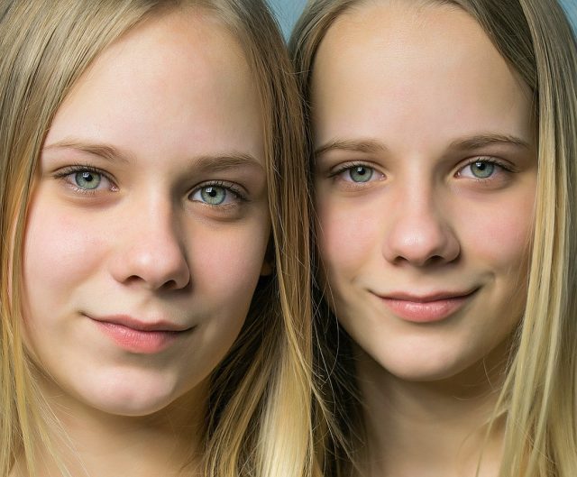 twins epigenetics