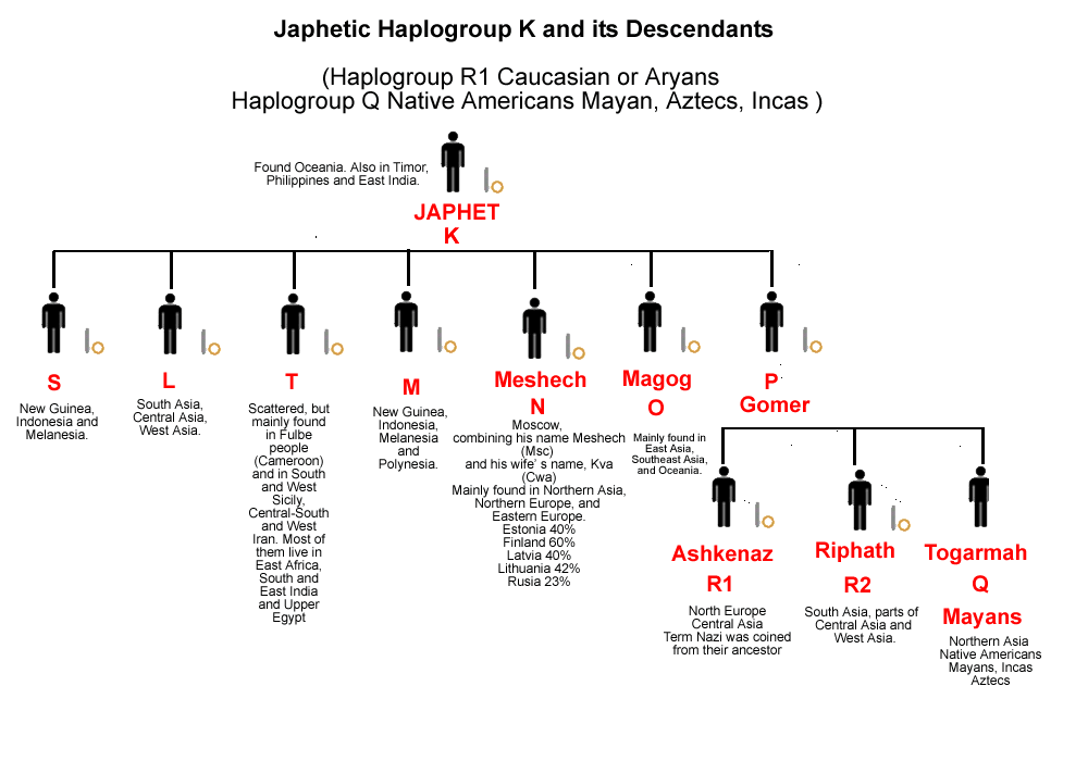Japhetic Haplogroup K and descendants