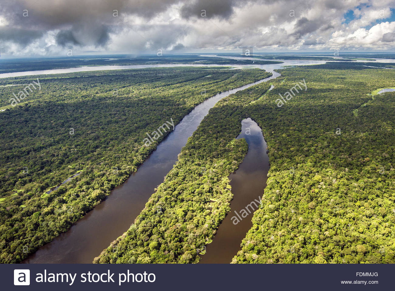 Vista aérea de Japura Reserva Forestal del Río Amazonas y en el Desarrollo  Sostenible Mamiraua