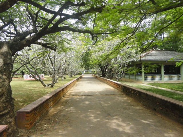 File:Japura University Sri Lanka Thel Bemma.jpg