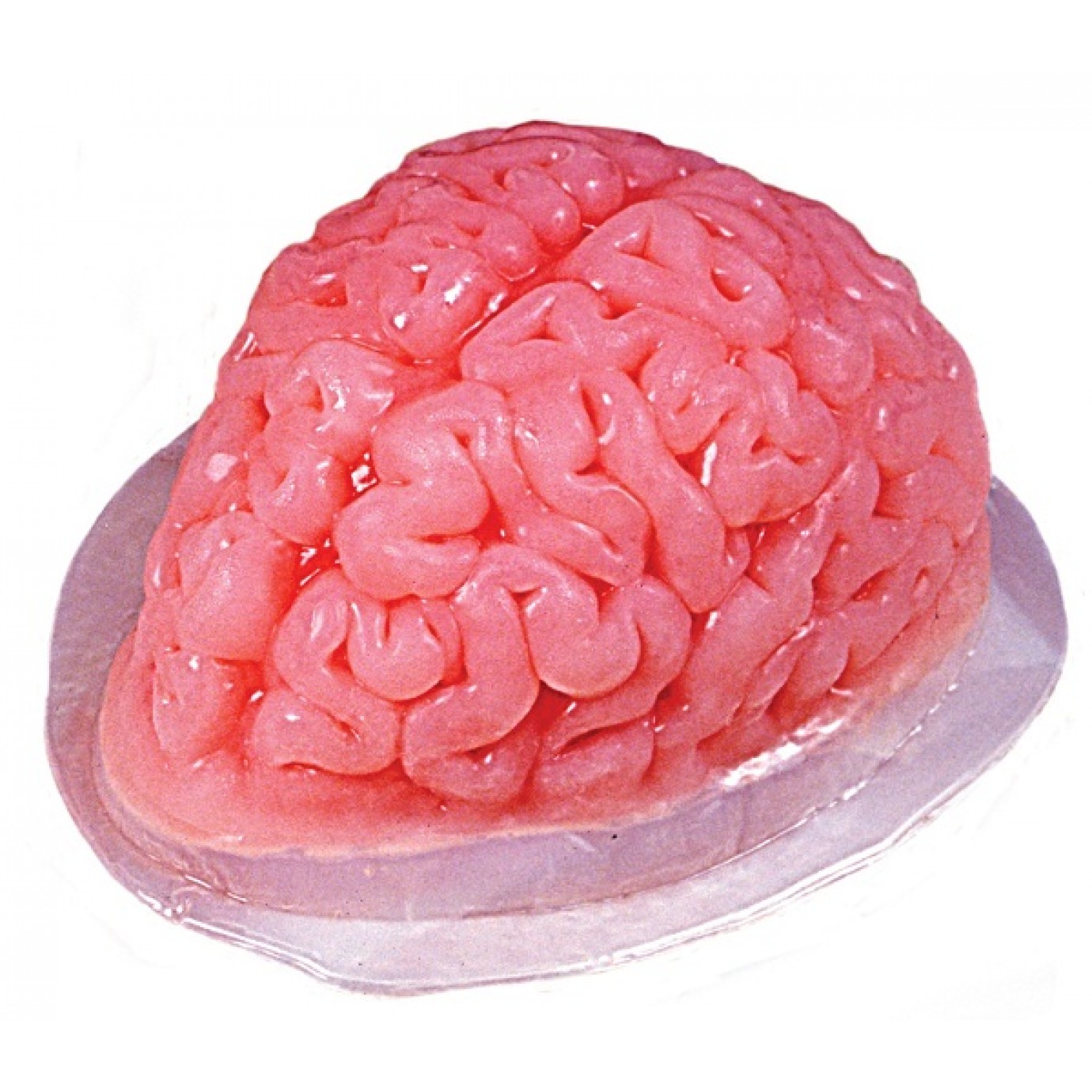 Jelly Mould - Brain