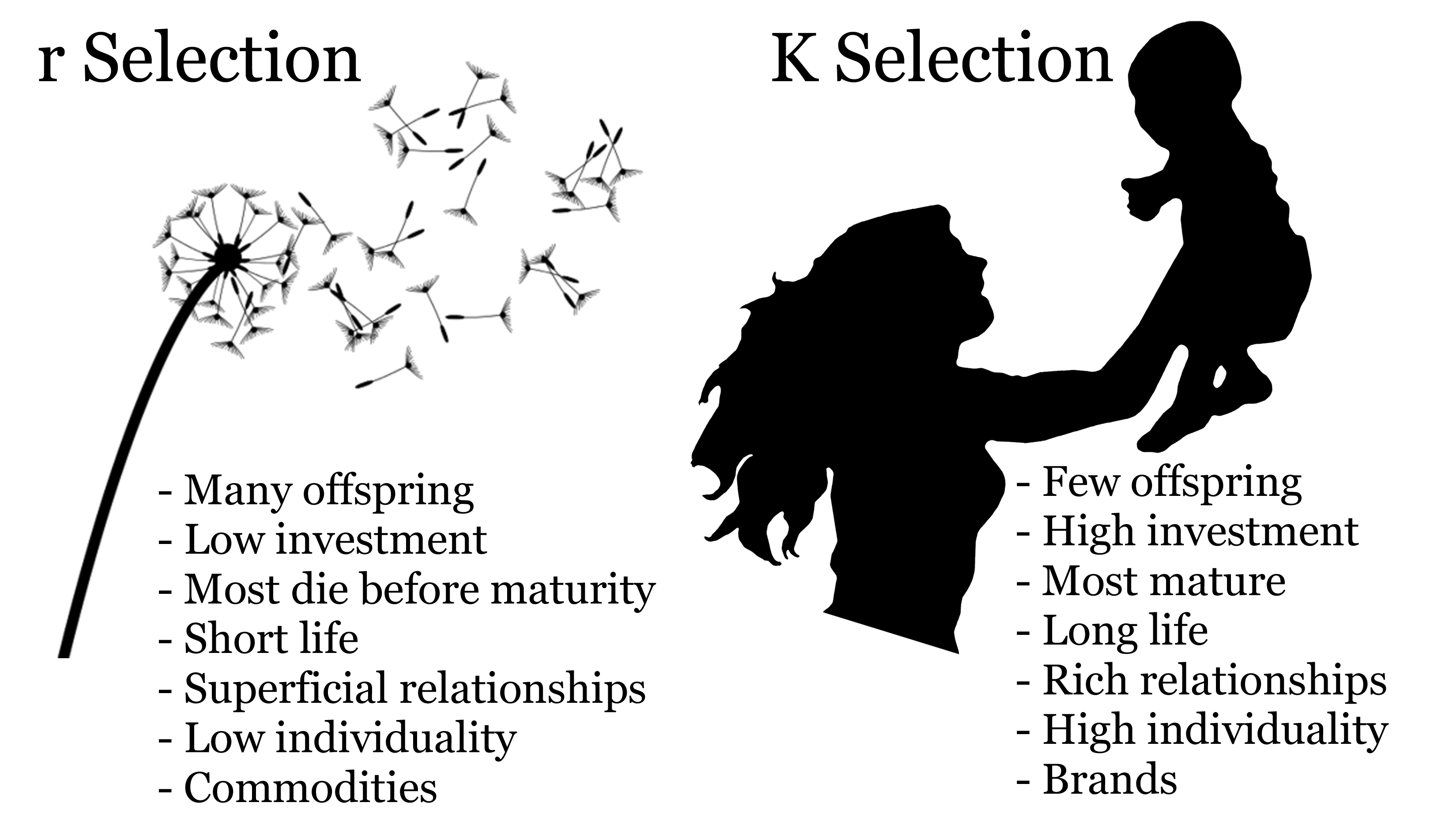 r selection and K selection in marketing: r selection produces many  offspring, and requires