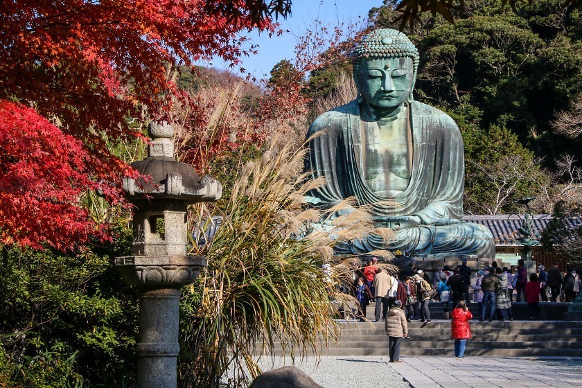 Autumn colors surrounding the Great Buddha of Kamakura