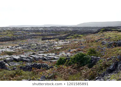 Geology of karstic limestone deposits marking the terrain of the Aran  Islands in Ireland