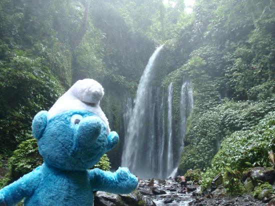 Sendang Gile and Tiu Kelep Waterfall: Tiu Kelep Waterfall