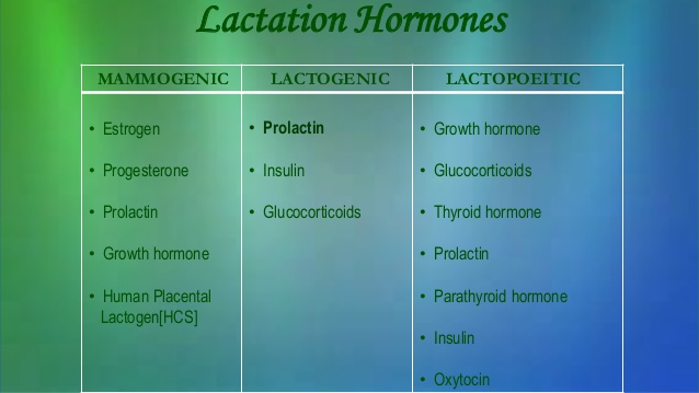 5. Lactation Hormones MAMMOGENIC LACTOGENIC