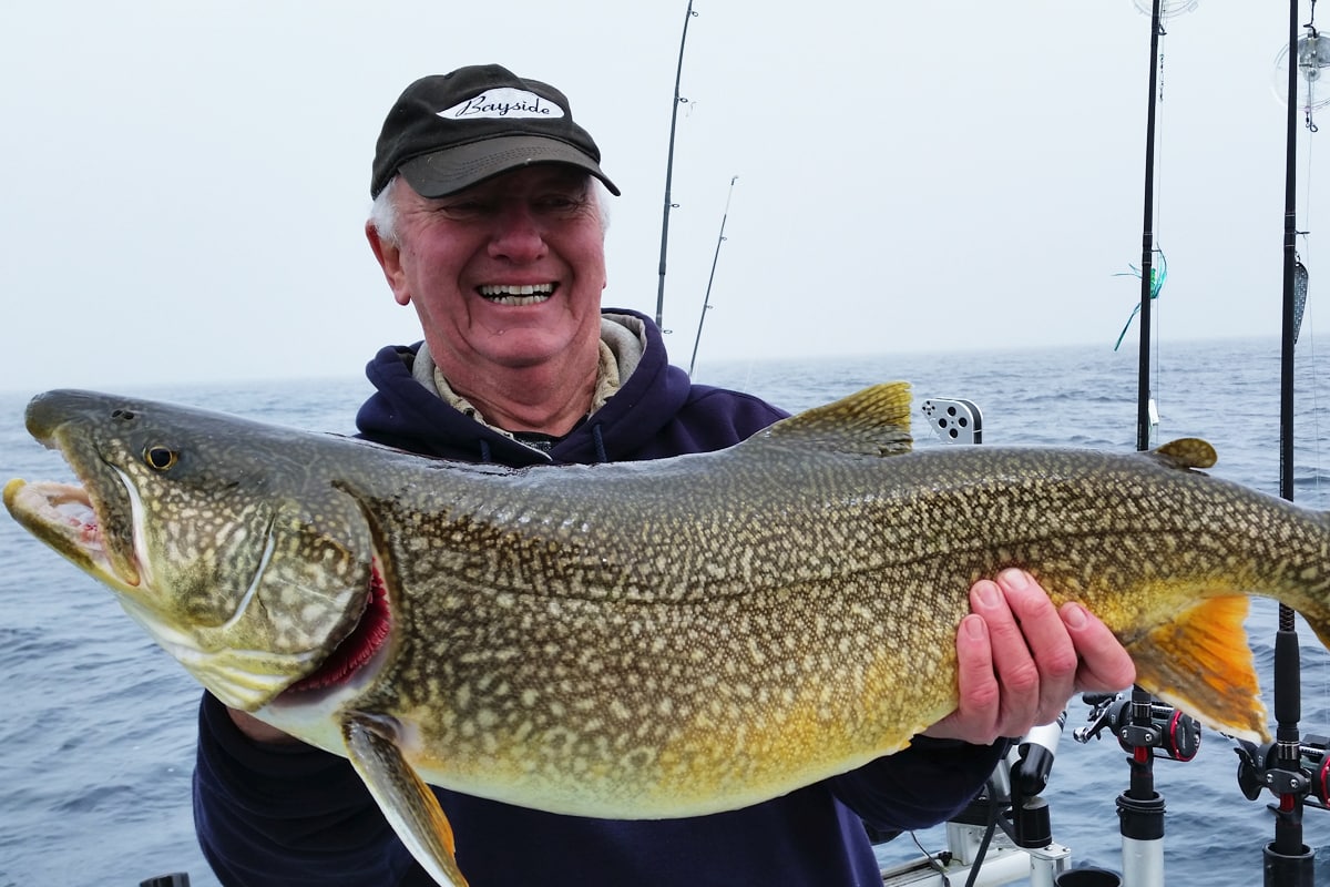 Lake trout are found feeding on round gobies in shallow rocky areas along  the shorelines of Lake Michigan. This beauty attacked the hot Olive Rapala  that
