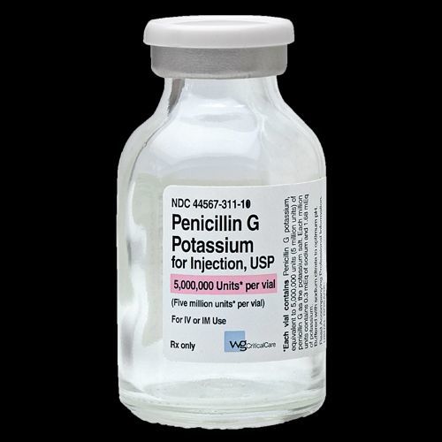 Как получить пенициллин
